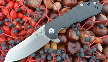 Нож Kizer Sovereign V4423A1