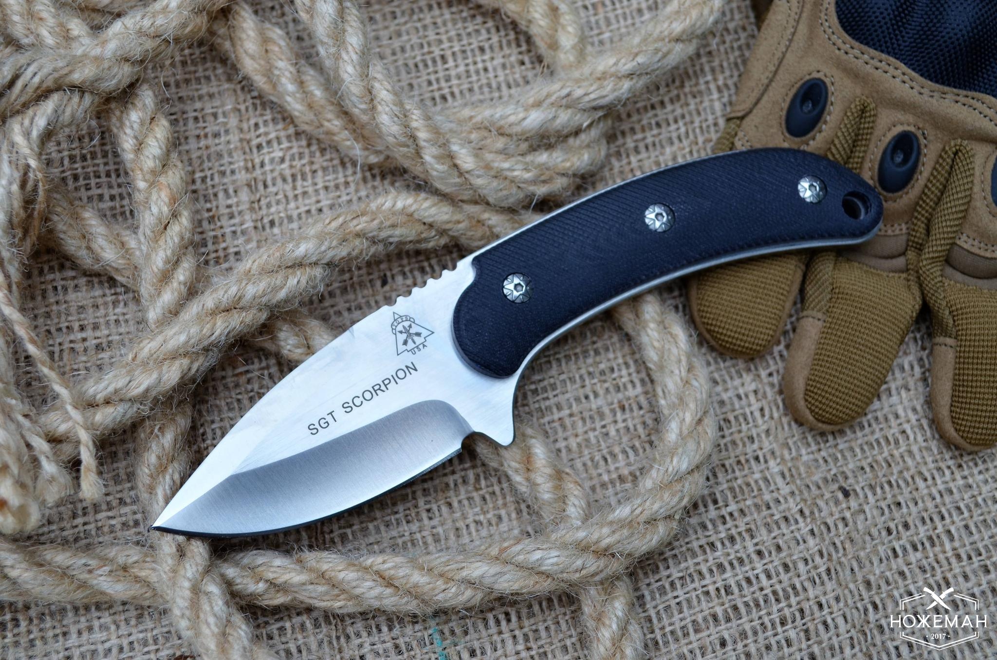 Нож охотничий SGT Scorpion купить