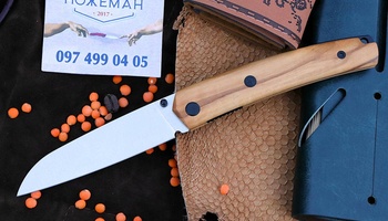 Нож Petrified Fish PF719 Patte