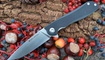 Нож Real Steel E801 Megalodon 7420