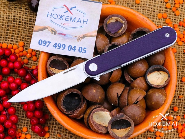 Нож RealSteel Iris