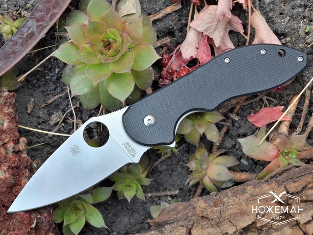 Складной нож Spyderco Domino C172