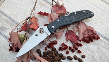Нож Spyderco Endura C10