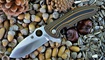 Нож складной Spyderco Rubicon C187