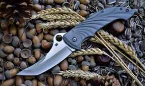 Складной нож Spyderco Tighe Stick C198