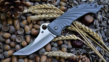Нож Spyderco Tighe Stick C198