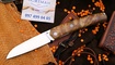 Petrified Fish PF719 V2-Patte White Burl Wood
