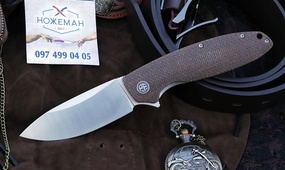 Petrified Fish PFB01 Terra