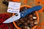 RealSteel Griffin Pro Denim Micarta