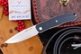 RealSteel Serenity Black G10