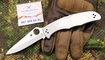 Spyderco Endura 4 C10P Stainless Steel SS