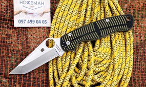 Spyderco Paramilitary 2 MagnaCut Salt Tanto