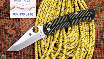 Spyderco Paramilitary 2 MagnaCut Salt Tanto