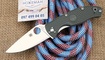 Spyderco Tenacious Lightweight Green FRN C122