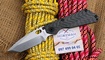 Strider SnG Carbone Tanto